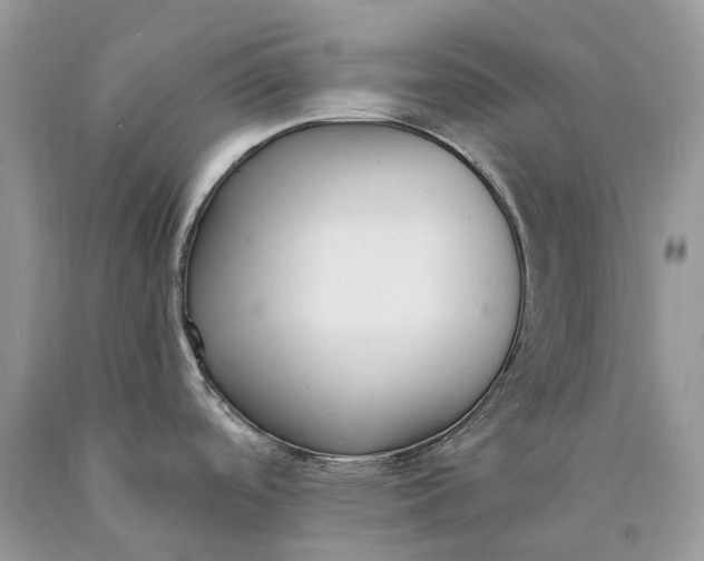 X0000089931488200707201829