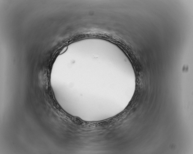 X0000089931493200707201828