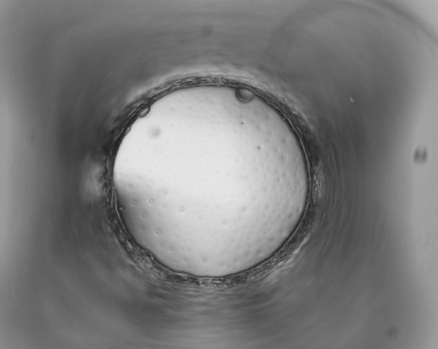 X0000089931494200707201828