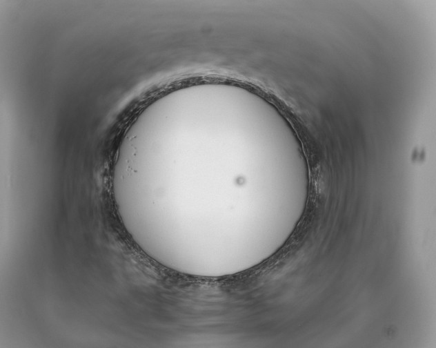 X0000089931495200707201828