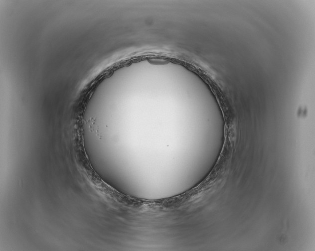 X0000089931496200707201828