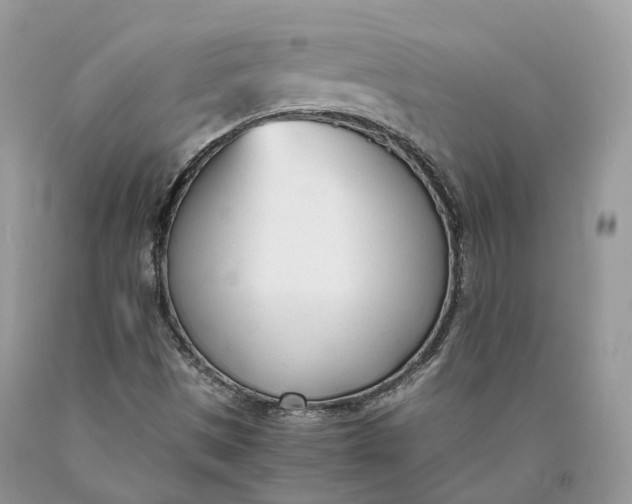 X0000089931497200707201828