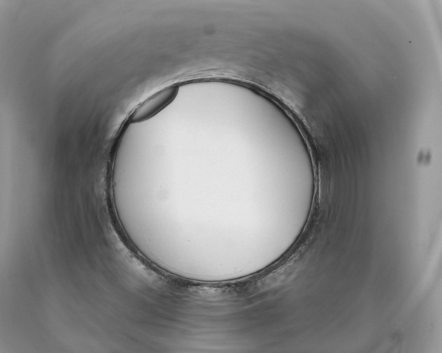 X0000089931500200707201829