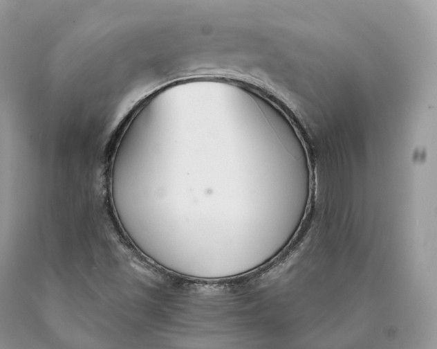 X0000089931501200707201829