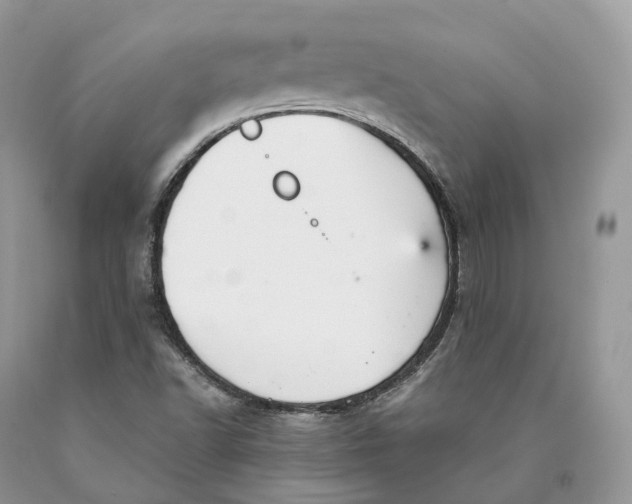 X0000089931502200707201829