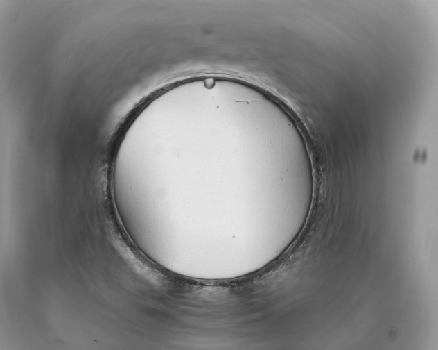 X0000089931503200707201829