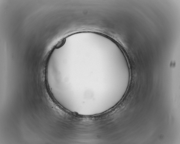 X0000089931504200707201829