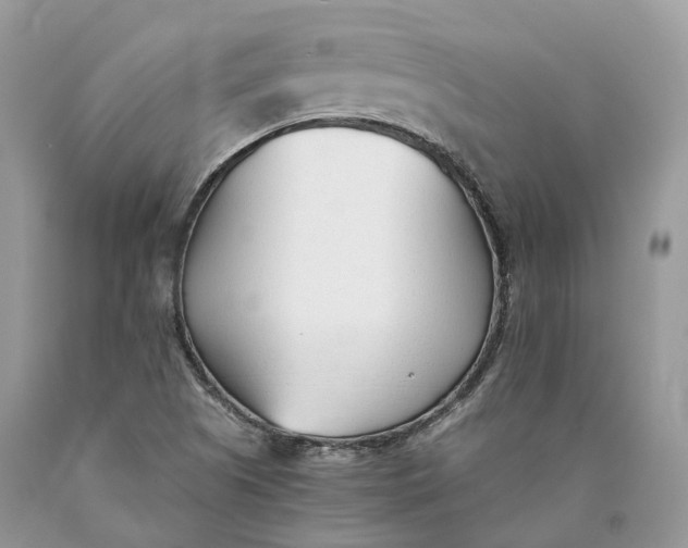 X0000089931505200707201829