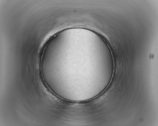 X0000089931506200707201829