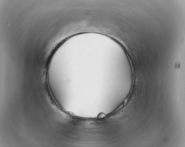 X0000089931507200707201829