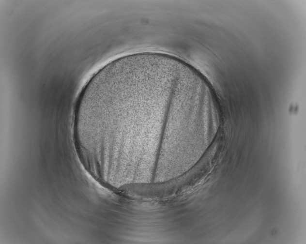 X0000089931508200707201829