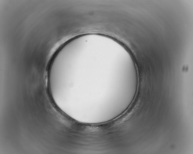 X0000089931509200707201829