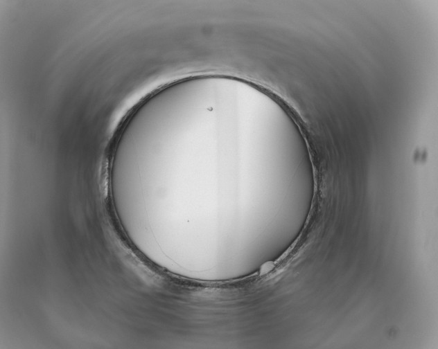 X0000089931510200707201829