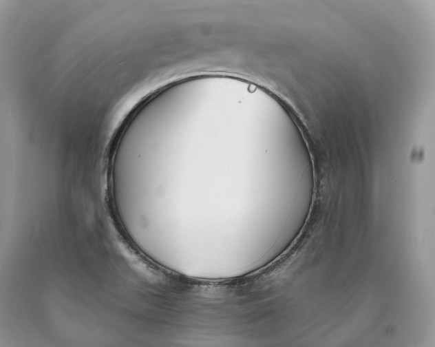 X0000089931511200707201829