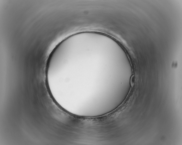 X0000089931512200707201829