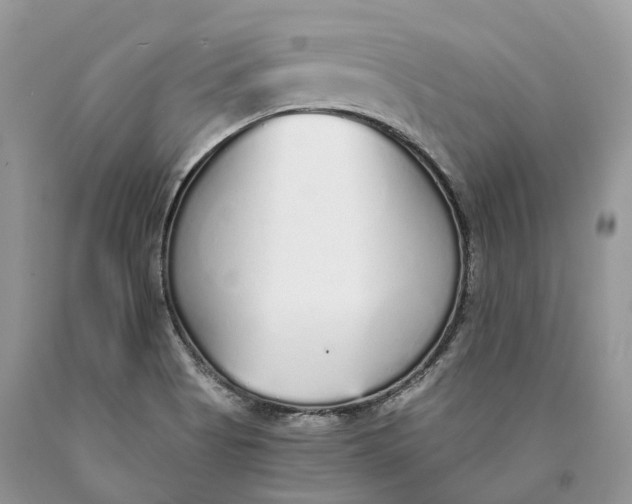 X0000089931513200707201829