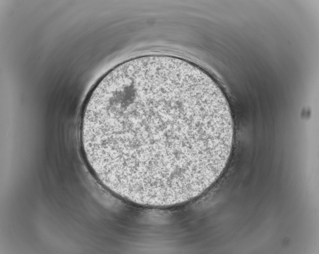 X0000089931514200707201829