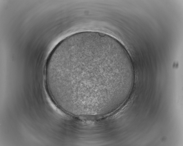 X0000089931515200707201829