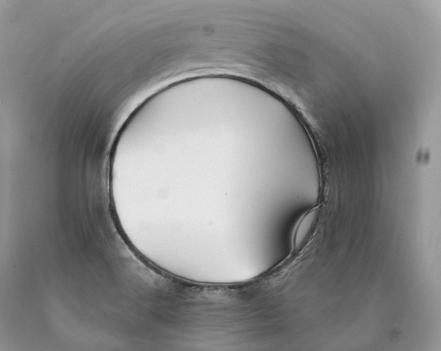 X0000089931516200707201829