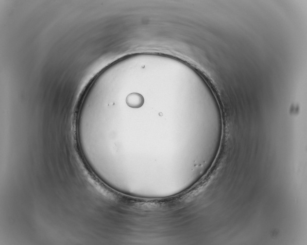 X0000089931517200707201829