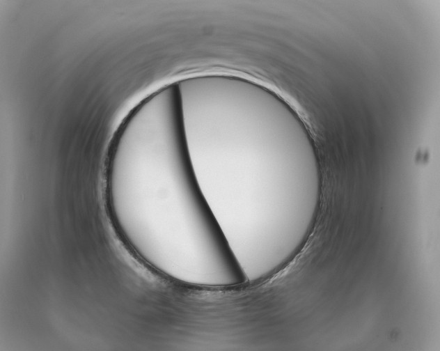 X0000089931518200707201829