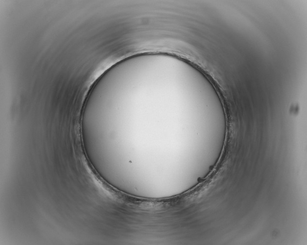 X0000089931521200707201829