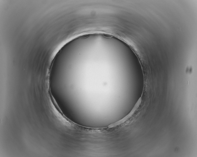 X0000089931524200707201829