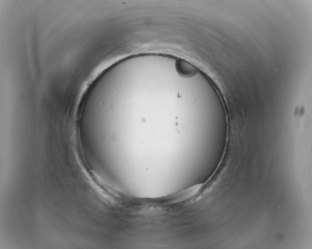 X0000089931525200707201829