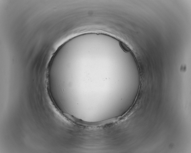 X0000089931526200707201829