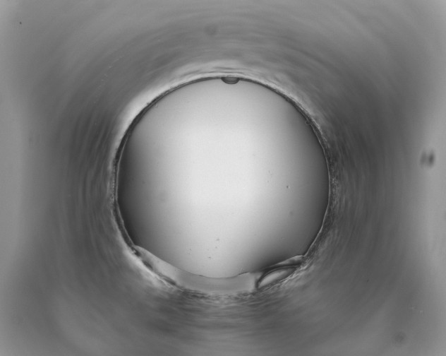 X0000089931527200707201829