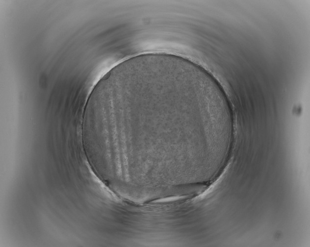 X0000089931529200707201829