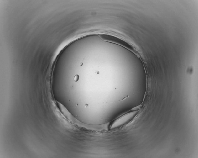 X0000089931530200707201829