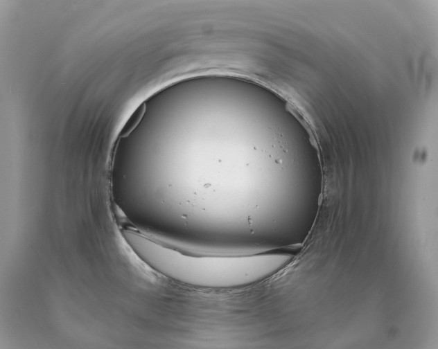 X0000089931532200707201829