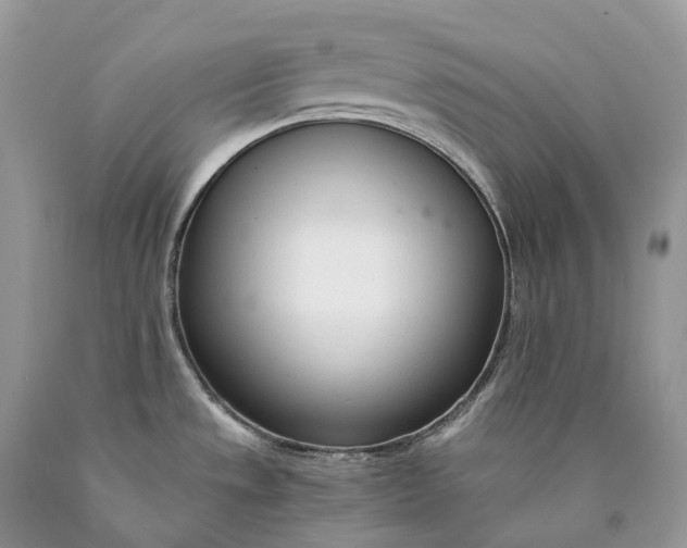 X0000089931533200707201829