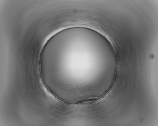 X0000089931534200707201829