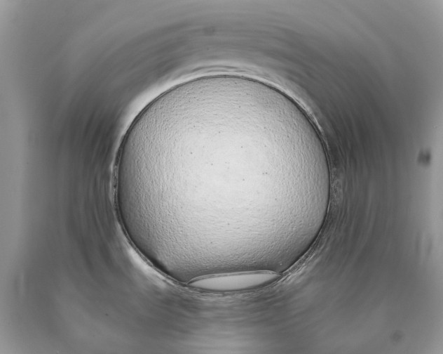 X0000089931535200707201829