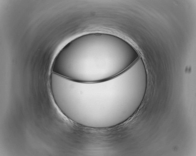 X0000089931536200707201829