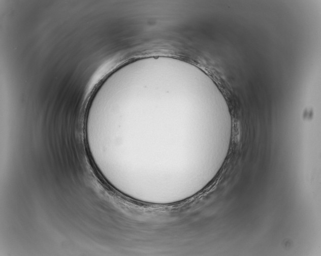 X0000089930004200707271807