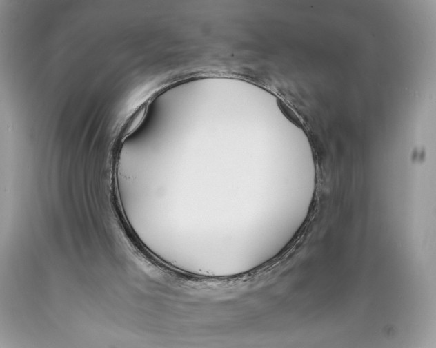 X0000089930005200707271807