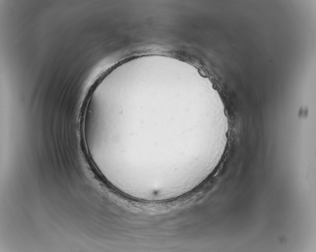 X0000089930006200707271807