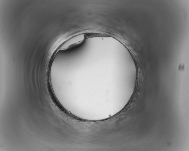 X0000089930007200707271807