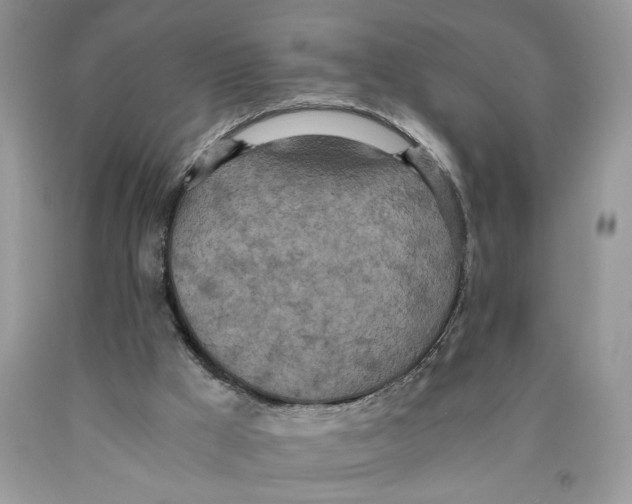 X0000089930009200707271807