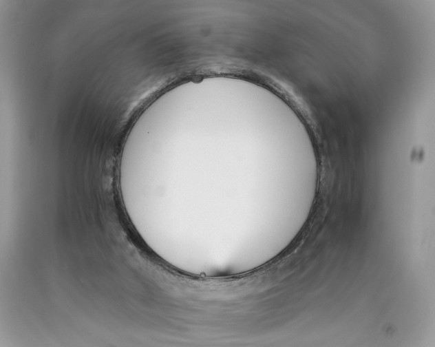 X0000089930010200707271807