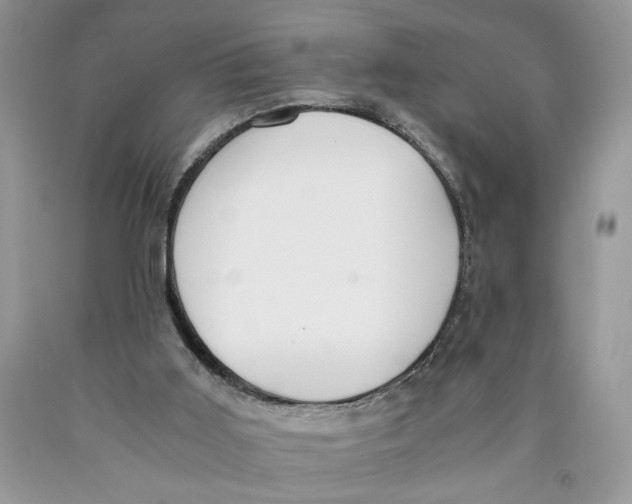 X0000089930011200707271807