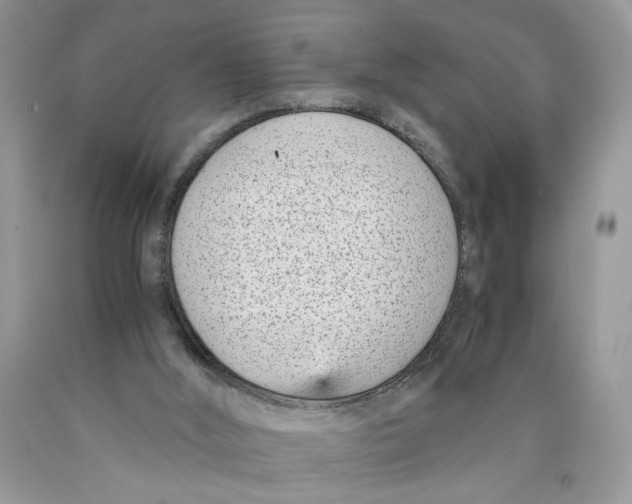 X0000089930012200707271807