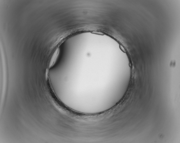 X0000089930013200707271807