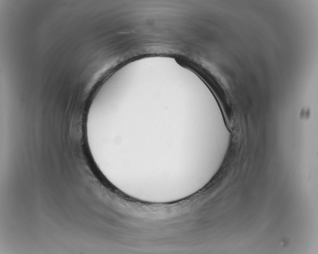 X0000089930015200707271807