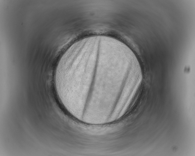 X0000089930018200707271807