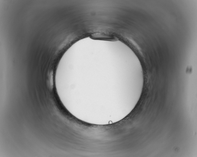 X0000089930020200707271807