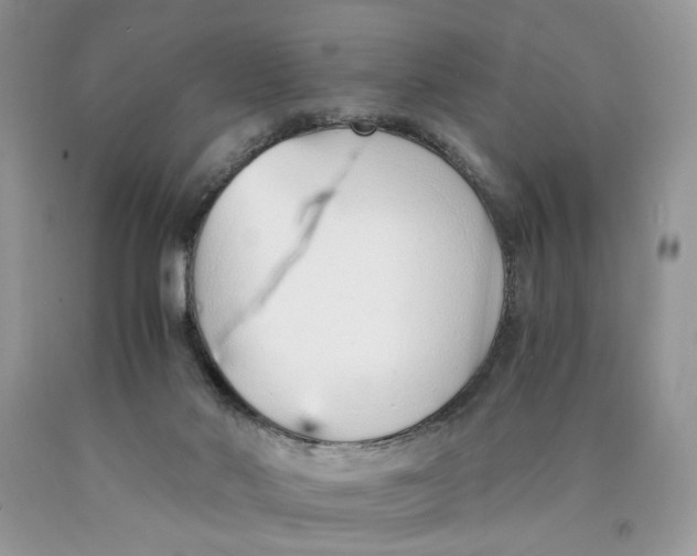 X0000089930022200707271807